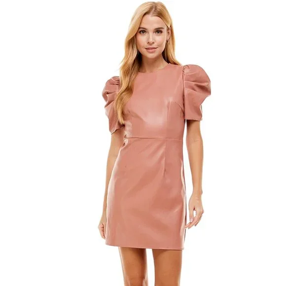 TCEC | Dresses | Tcec Nwot Puff Sleeve Mini Dress S M L Mauve | Poshmark